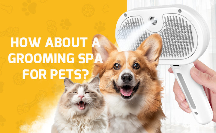 Steam Cat Brush Self-Cleaning Grooming Tool with Steam Spray Remove Floating Hair for Cats Dogs Pet Grooming Supplies Hair Care